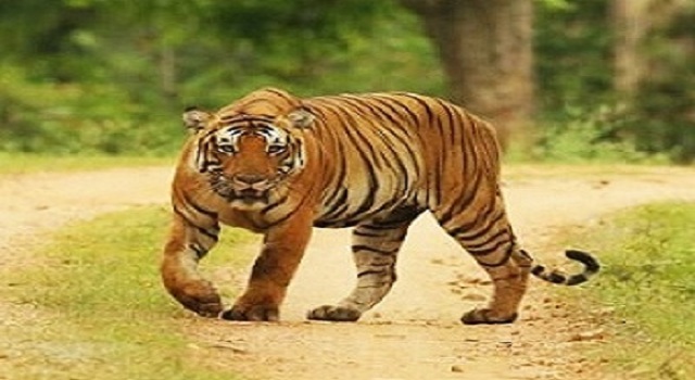 blog-image